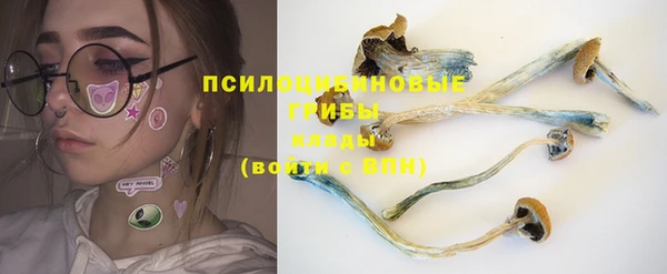 тгк Арсеньев