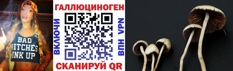 Галлюциногенные грибы мухоморы  как найти наркотики  Волгоград 