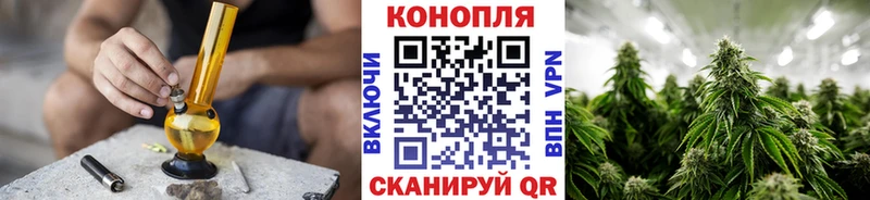 Шишки марихуана сатива Волгоград